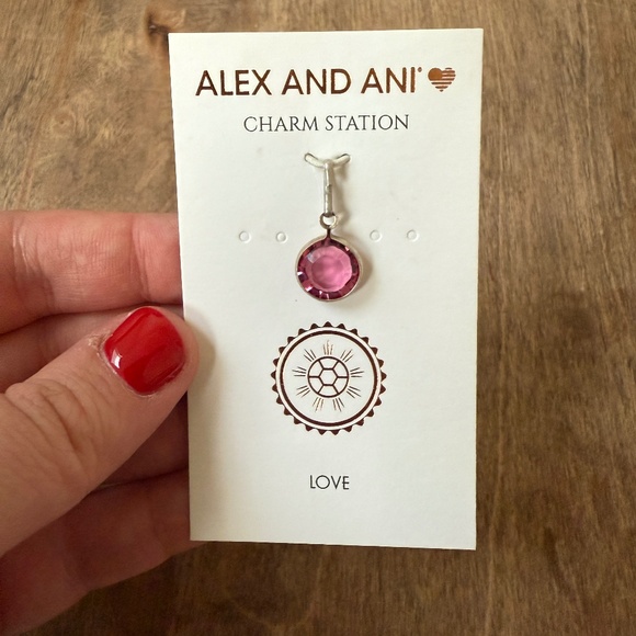 NWT Alex and Ani October Birthstone Rose Swarovski Crystal Silver Charm Station - Picture 1 of 2